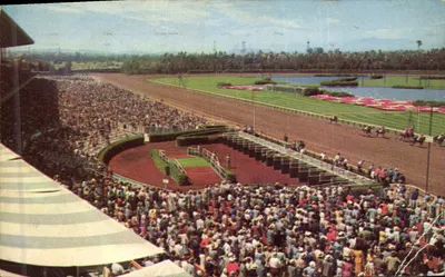 Hollywood Park Racetrack — corrida de cavalos — "Plastichrome" de G. Mitrock & Sons, série P5530