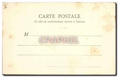 PARIS — Cedri del Giardino delle Piante — B. E. Paris, n° 121 — Verso