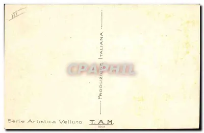 Pruniers — frutos maduros — T.A.M. n°1003 — Verso