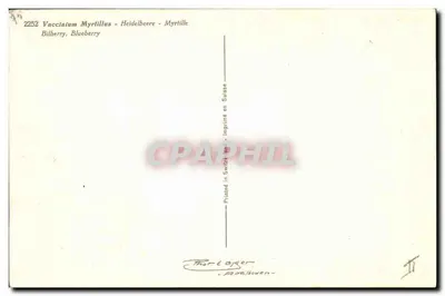 Myrtille - Myrtille w Szwajcarii — Wydane w Szwajcarii — Rewers