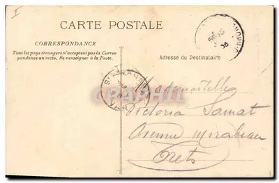 La Sainte-Baume — Árvore da Floresta — Phototyp. E. Lacour — Marseille, n°1240 — Verso