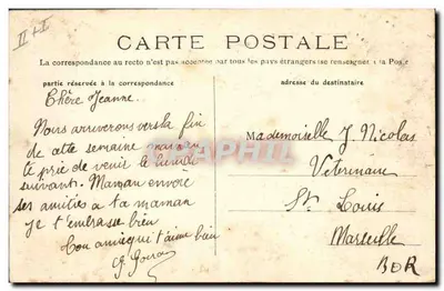 Sainte-Maxime (Var) — Wysoki sosnowy drzewo — wydawnictwo Catins — Rewers