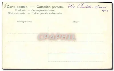Laranjas e Limões — ilustração botânica — sem editor ou número visível — Verso