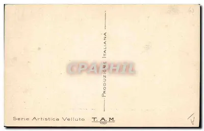 Batatas — ilustração — T.A.M. n° 1007 — Verso