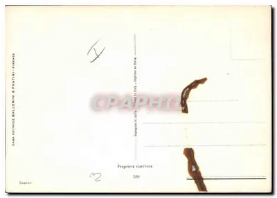 Prunus domestica — galhos com frutos — Casa Editrice Ballerini & Fratini, Firenze — Verso