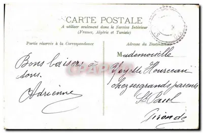 Arranjo de flores azuis e folhas de trêfogo — editor não visível — número de série não visível — Verso