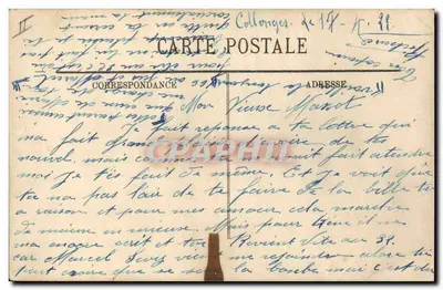 A floresta de Fontainebleau — O Júpiter — LL. — n° 386 — Verso