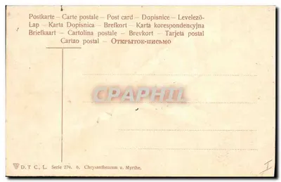Críptomo e myrthe — ilustração botânica — D.T.C., série 279, n°6 — Verso