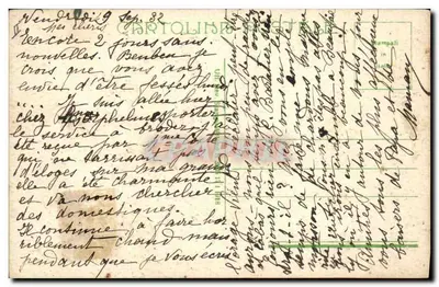 Flores e bagas — ilustração botânica — Cartoline Postale — Verso