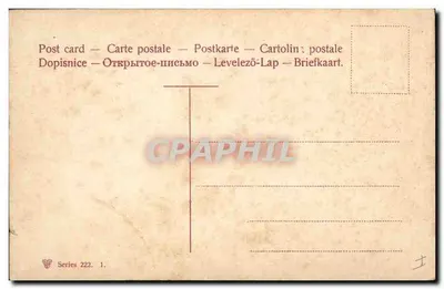 Kwiaty centorii — ilustracja botaniczna — seria 222 — Rewers