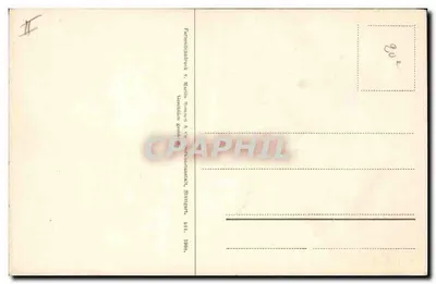 Duas tulipas — uma rosa, uma amarela e vermelha — editor: Präsentationsdruck v. Martin Rommel & Co, Stuttgart — Verso