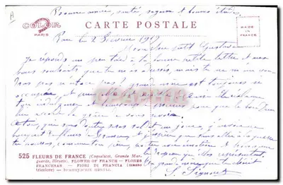 Bouquet de fleurs — Marguerite, bleuet, coquelicot — éditeur A. COLOR PARIS, n°525 — Rewers