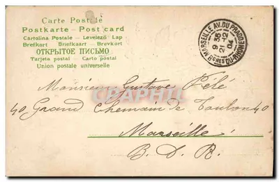 Pink and blue flower — poetic text — Carte Postale Levelez Lap — Back