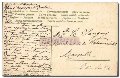 Violetas em um carrinho — Sinal de afeto — editor não visível — Verso