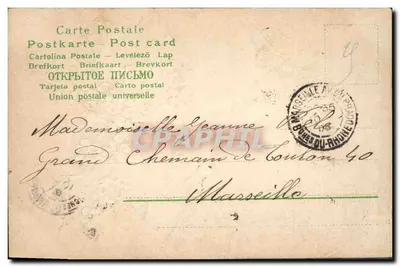 Flores azuis e trevo — carta postal decorativa — editor não identificado — Verso