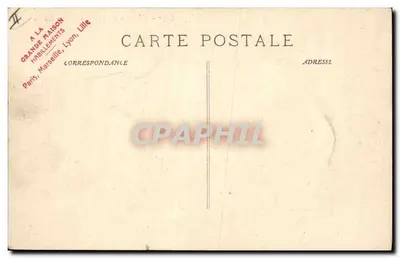 Cannes - Les Pins de La Bocca — Wydawca FIG, nr 5079 — Rewers