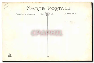 Flor rosa — ilustração botânica — editor não identificado — Verso