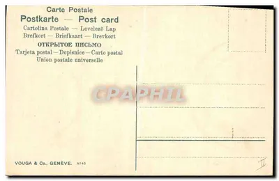 Mazzo di fiori — rose e edelweiss — E. Youga — Verso