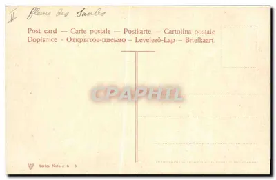Flores das Saines — Série Natura b — Verso