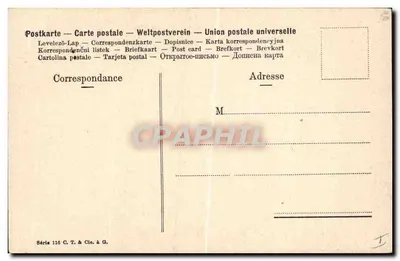 Ramal de flores brancas — edição multilingue — Série 116 C. T. & Cie. à G. — Verso