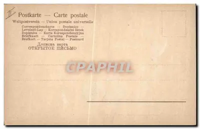 Rosa branca — ilustração — editor desconhecido, número de série não visível — Verso
