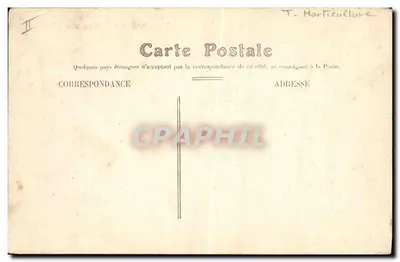 Saint-Quentin — Pawiak Ogrodniczy — figura w parku — Rewers