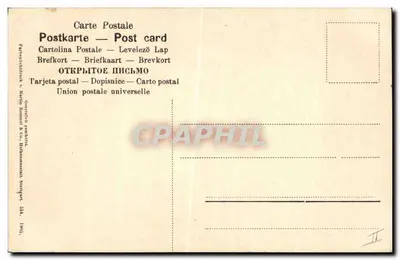 Fiore di caprifoglio — illustrazione botanica — editore Martin Kominsky & Co., numero 554 — Verso
