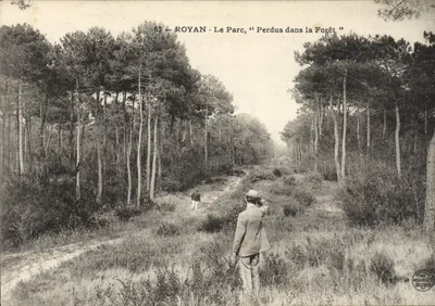 Royan - Park, "Zdrowi w lesie"