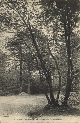 Floresta de Viroflay — Subfloresta — F. F. Paris, n°9