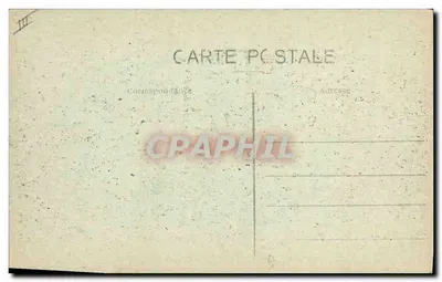 Nîmes — Ogród Źródła — Cedr — Rewers