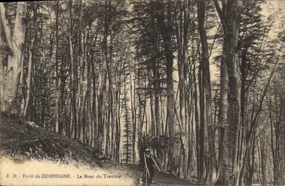 Floresta de Compiègne - Mont du Tremble — E. D.