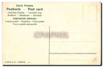Flores de gerânio — ilustração — Elouga, Vouga & Co., Genebra, n° 67 — Verso
