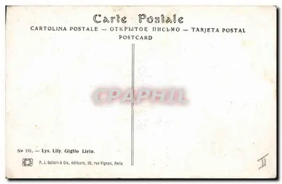 Lilja — bukiet białych lilii — P. J. Gallais & Cie, nr 191 — Rewers
