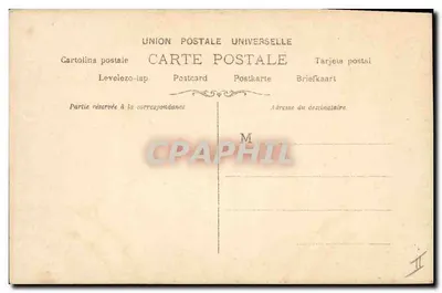 Dahlias amarelos — ilustração botânica — editor S, n° 1368 — Verso