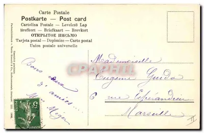 Clematis — ilustracja botaniczna — wydawca nieodczytalny — Rewers