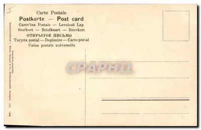Planta com flores — ilustração botânica — editor Martin Bonnini & Co., Stuttgart — Verso