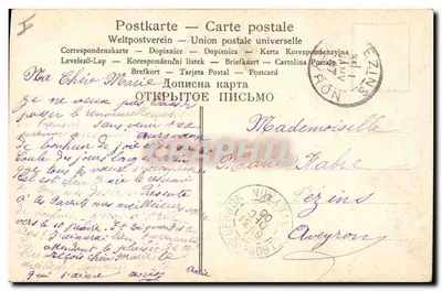 Kolorowe pansze — ilustracja botaniczna — wydawca nie widoczny — Rewers
