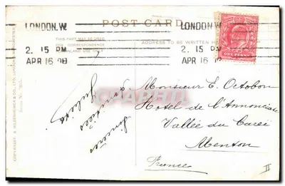 Kwiaty i owoce — Wesołych świąt — wydawca Hildesheimer & Co. Ltd. nr 1245 — Rewers