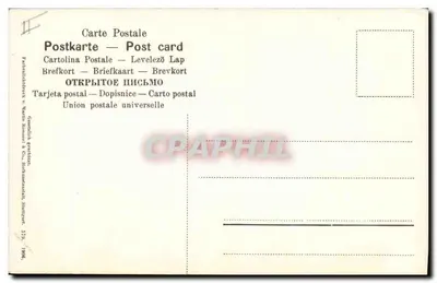 Kolorowe anemonki — bukiet — wydawca Union postale, Stuttgart, 1906 — Rewers