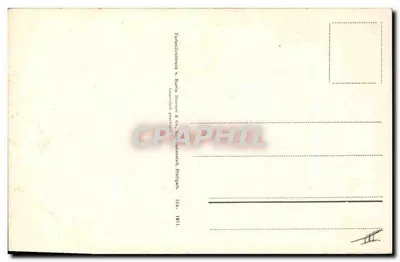 Flor de jasmim — ilustração botânica — editora Zabbenbildnerei v. Martin Tommer & Co., Stuttgart — Verso