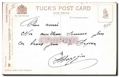 Campanulas azuis — ilustração botânica — Tuck's Post Card n°8488 — Verso