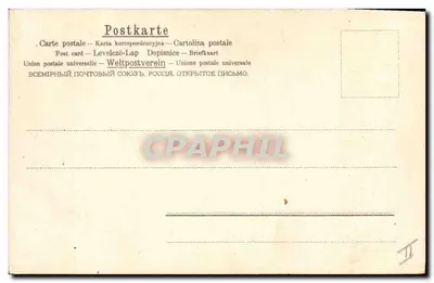 Daisies — Postcard from the Universal Postal Union — Publisher P.A.N. — Back