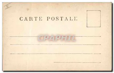 Bourrache — planta com flores azuis — G.L. — Verso