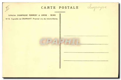 Winogrony Cramant — Pierwszy klasa winorośli białych — Kolekcja Champagne Pommery et Grend - Reims, nr 8 — Rewers