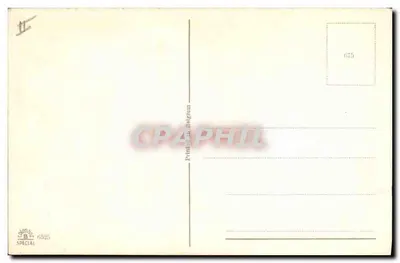 Rosa amarilla — ilustración — 675 — Reverso