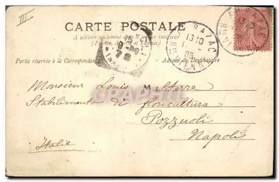 Joven mujer en vestido y velo — retrato — CL. Nouvelles Galeries — Reverso