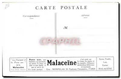 Propos de Primera — ¿Por qué la prefieres? — Malaceïne — Reverso