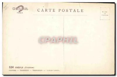 Trevo — Trifolium — editor COLOR Paris, n° 534 — Verso