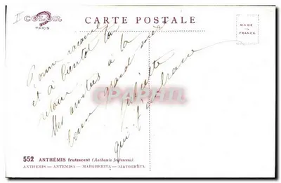 Arranjo de margaridas — Boa Festa — I COLOR PARIS n°552 — Verso