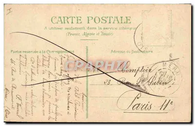 Rosa amarela — ilustração botânica — editor não visível — Verso